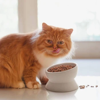 Приподнятая миска для корма для кошек, миска для воды Наклонная керамическая миска для воды для кошек, подходит для мытья усов домашних кошек, можно мыть в посудомоечной машине