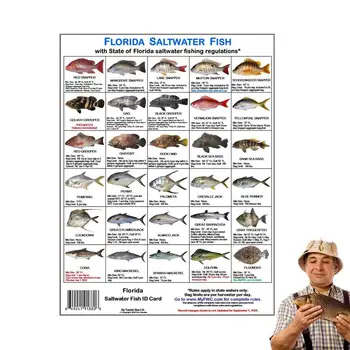 Идентификационная карточка морской рыбы Флориды, Цветные фотографии Правил в водах Флориды, идентифицирующие карту правил в водах Флориды для рыбалки