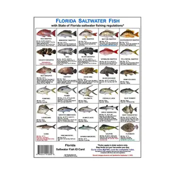 Магнитная рыболовная идентификационная карта, Магнитные Цветные фотографии видов рыб, обитающих в водах Флориды, Морская рыба Флориды