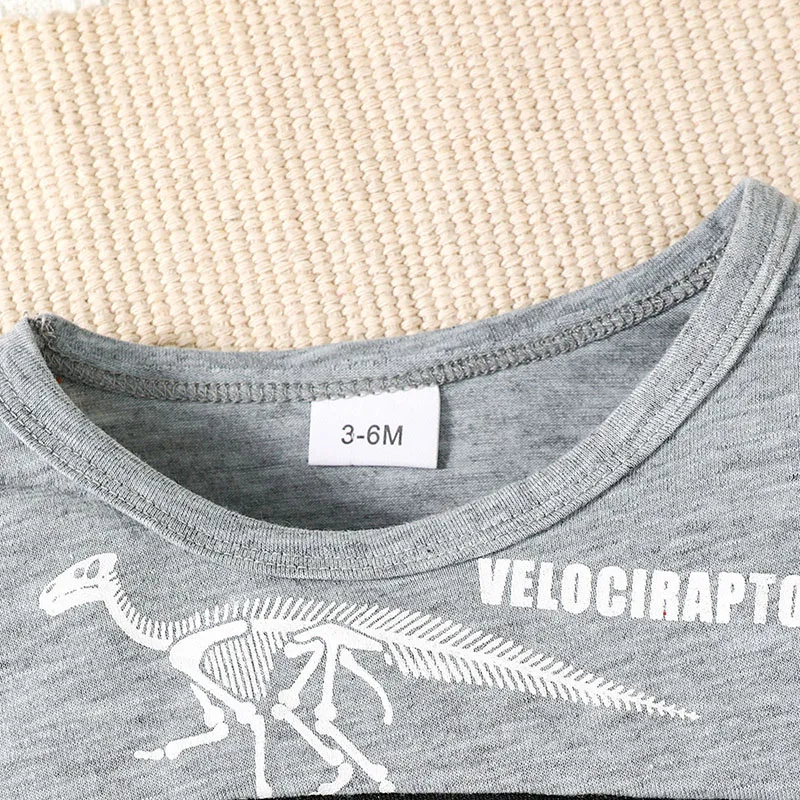 Одежда для мальчика из 2 предметов, толстовка с длинными рукавами и эластичными штанами с принтом окаменелостей динозавров для малышей, осенняя одежда