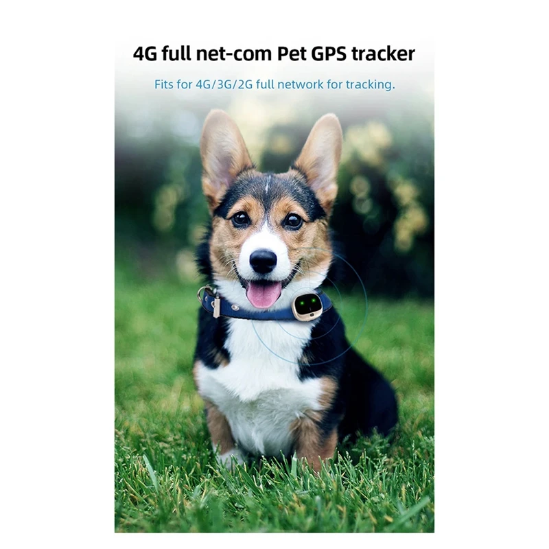 Мини 4G GPS Трекер Для Домашних Животных Водонепроницаемые GPS Ошейники Для Собак С Защитой От Потери Локатора Поддержка Сигнализации Двусторонний Интеллектуальный Вызов Простота Установки